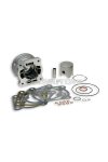 Malossi ALUMIN.CYL. 52 H2O FLANGED MOUNT for testa rossa modular-head