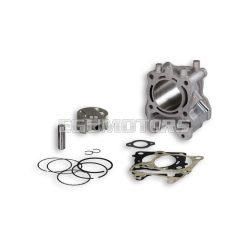 Malossi ALUM-CYL. 61 pin 14 H2O 4-stroke
