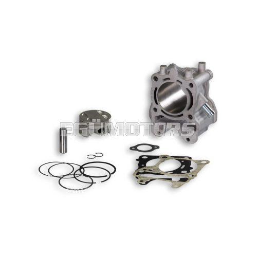 Malossi ALUM-CYL. 61 pin 14 H2O 4-stroke