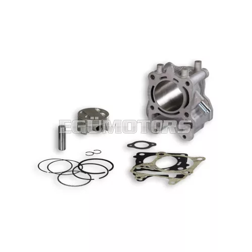 Malossi ALUM-CYL. 61 pin 14 H2O 4-stroke