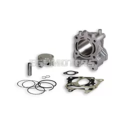 Malossi ALUM-CYL. 61 pin 14 H2O 4-stroke