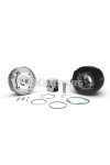 Malossi CAST-I-CYLINDER KIT 63