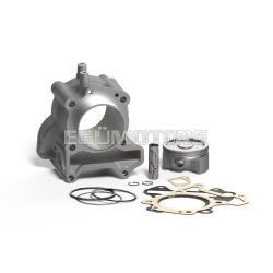 Malossi ALUM-COMPL.CYL. 63 pin 14 H2O I-TECH 4-stroke