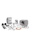 Malossi ALUMIN-CYL. KIT 47 pin 10 BIG DEPS PIAGGIO - ITALJET 50 cc