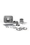 Malossi ALUMIN-CYLINDER 47 pin 10 BIG DEPS PIAGGIO motorcy.