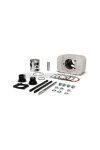 Malossi ALUMIN-CYLINDER 47 pin 12 BIG D.E.P.S. PIAGGIO motorcy.