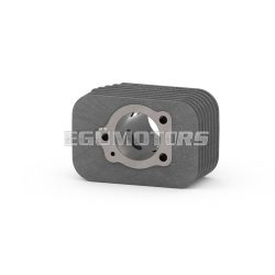Malossi CAST-I-CYLINDER 43 pin 10 BASE+CVF