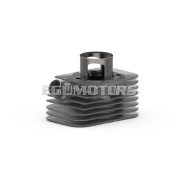 Malossi CAST-I-CYLINDER 43 pin 10 BASE+CVF