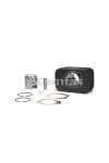 Malossi CAST-I-CYL. 46,5 pin 12 PIAGGIO CIAO