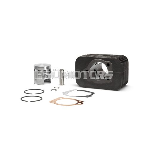 Malossi CAST-I-CYL. 46,5 pin 12 PIAGGIO CIAO