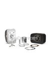 Malossi CAST-I-CYLIND. KIT 43 pin 10 BASE+CVF