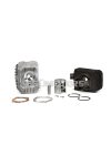 Malossi CAST-I-CYLINDER KIT 43 pin12 BASE+CVF