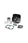 Malossi CAST-IRON CYLINDER 50 SUZUKI 50