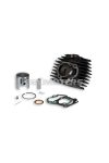 Malossi CAST-I-CYLINDER 45,5 HONDA CAMINO,PX 50