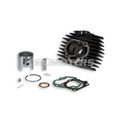 Malossi CAST-I-CYLINDER 45,5 HONDA CAMINO,PX 50