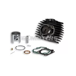 Malossi CAST-I-CYLINDER 45,5 HONDA CAMINO,PX 50