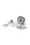 Malossi ALUMIN-CYLINDER 39 MBK motorcycles 50