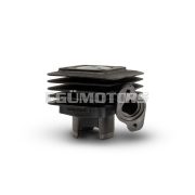Malossi CAST-I-CYLINDER 47 pin 10 HON-KYM-PEUG.