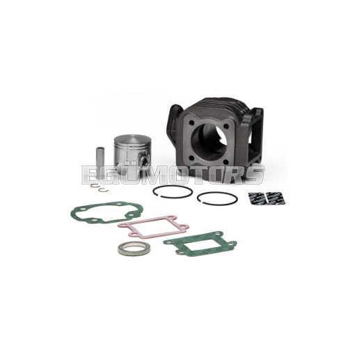Malossi CAST-I-CYLINDER 47 pin 10