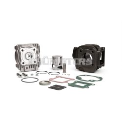 Malossi CAST-I-CYLINDER KIT 40 pin 10