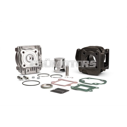 Malossi CAST-I-CYLINDER KIT 40 pin 10