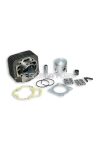 Malossi CAST-I-CYLINDER 47 pin 12