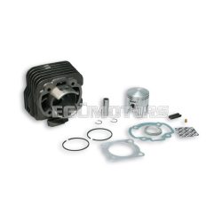 Malossi CAST-I-CYLINDER 47 pin 12