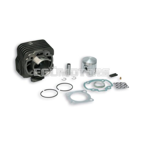 Malossi CAST-I-CYLINDER 47 pin 12