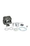 Malossi CAST-I-CYLINDER 47 pin 12 PEUGEOT SCOOTER