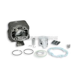 Malossi CAST-I-CYLINDER 47 pin 12 PEUGEOT SCOOTER