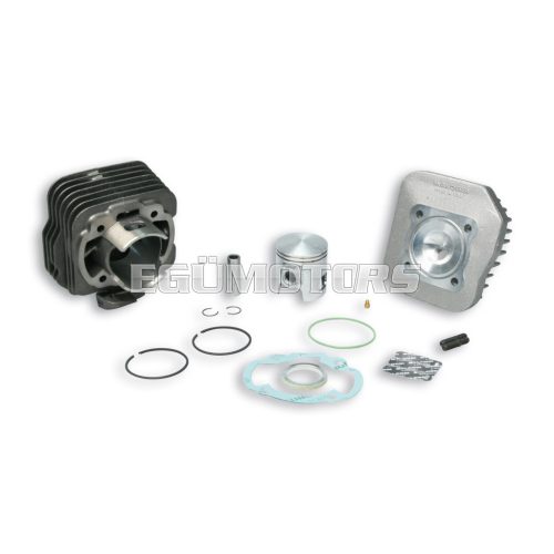 Malossi hengerszett, Dio AF18-28, Fever ZX