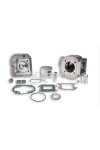 Malossi ALUMIN-CYL. KIT 47 pin 10 MHR