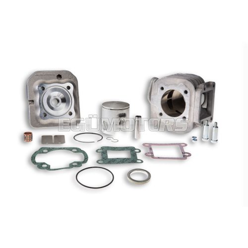 Malossi ALUMIN-CYL. KIT 47 pin 10 MHR