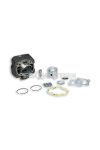 Malossi CAST-I-CYLINDER 47 pin 12 HONDA BALI, SFX