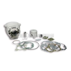 Malossi ALUMIN-CYLINDER 47,6 H2O MHR