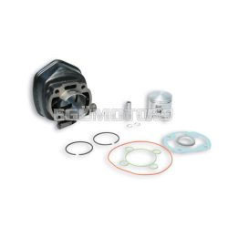 Malossi CAST-I-CYLINDER 47 H2O