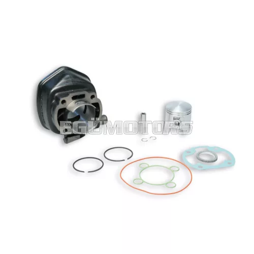 Malossi CAST-I-CYLINDER 47 H2O