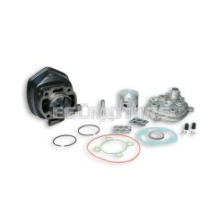 Malossi CAST-I-CYLINDER KIT 47 pin 10 H2O