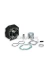 Malossi CAST-I-CYL. 47 pin 12 HON.DIO ZX 1994