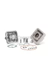 Malossi ALUMIN-CYLINDER KIT 45,5 H2O PEUGEOT 50 cc