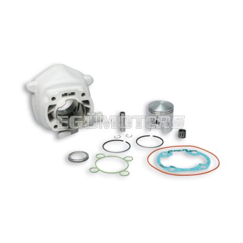 Malossi ALUMIN-CYLINDER 47 H2O MHR REP.