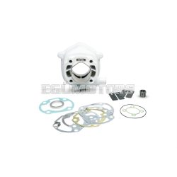 Malossi ALUMIN-CYLINDER 47,6 H2O MHR