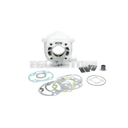 Malossi ALUMIN-CYLINDER 47,6 H2O MHR