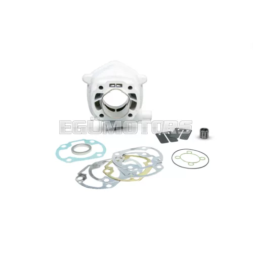 Malossi ALUMIN-CYLINDER 47,6 H2O MHR