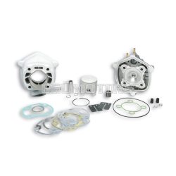 Malossi ALUMIN-CYL. KIT 47,6 pin 12 H2O MHR