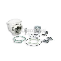Malossi ALUMIN- CYLINDER 47 H2O MHR REP.