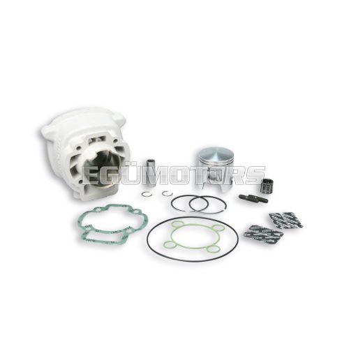 Malossi ALUMIN- CYLINDER 47 H2O MHR REP.