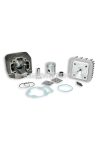 Malossi CAST-I-CYLINDER KIT 40 pin 12