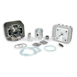 Malossi CAST-I-CYLINDER KIT 40 pin 12