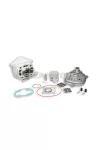 Malossi ALUMIN-CYL. KIT 50 cc. pin 10 H2O MHR